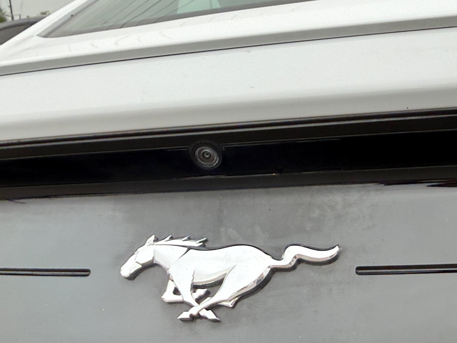 2021 Ford Mustang EcoBoost