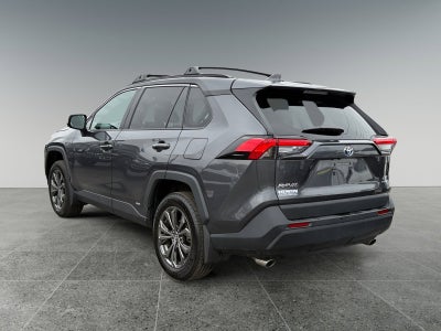 2024 Toyota RAV4 Hybrid XLE Premium