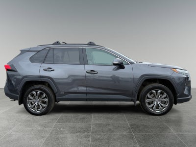 2024 Toyota RAV4 Hybrid XLE Premium