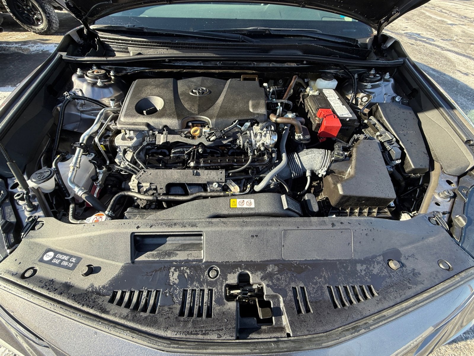 2024 Toyota Camry LE