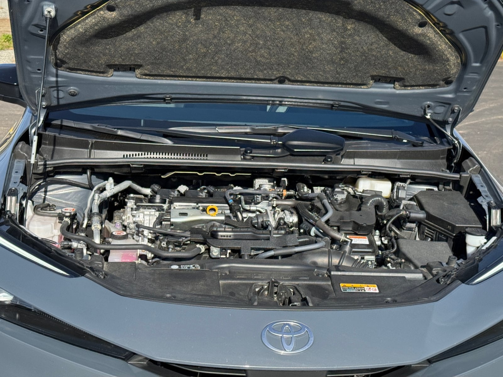 2023 Toyota Prius XLE