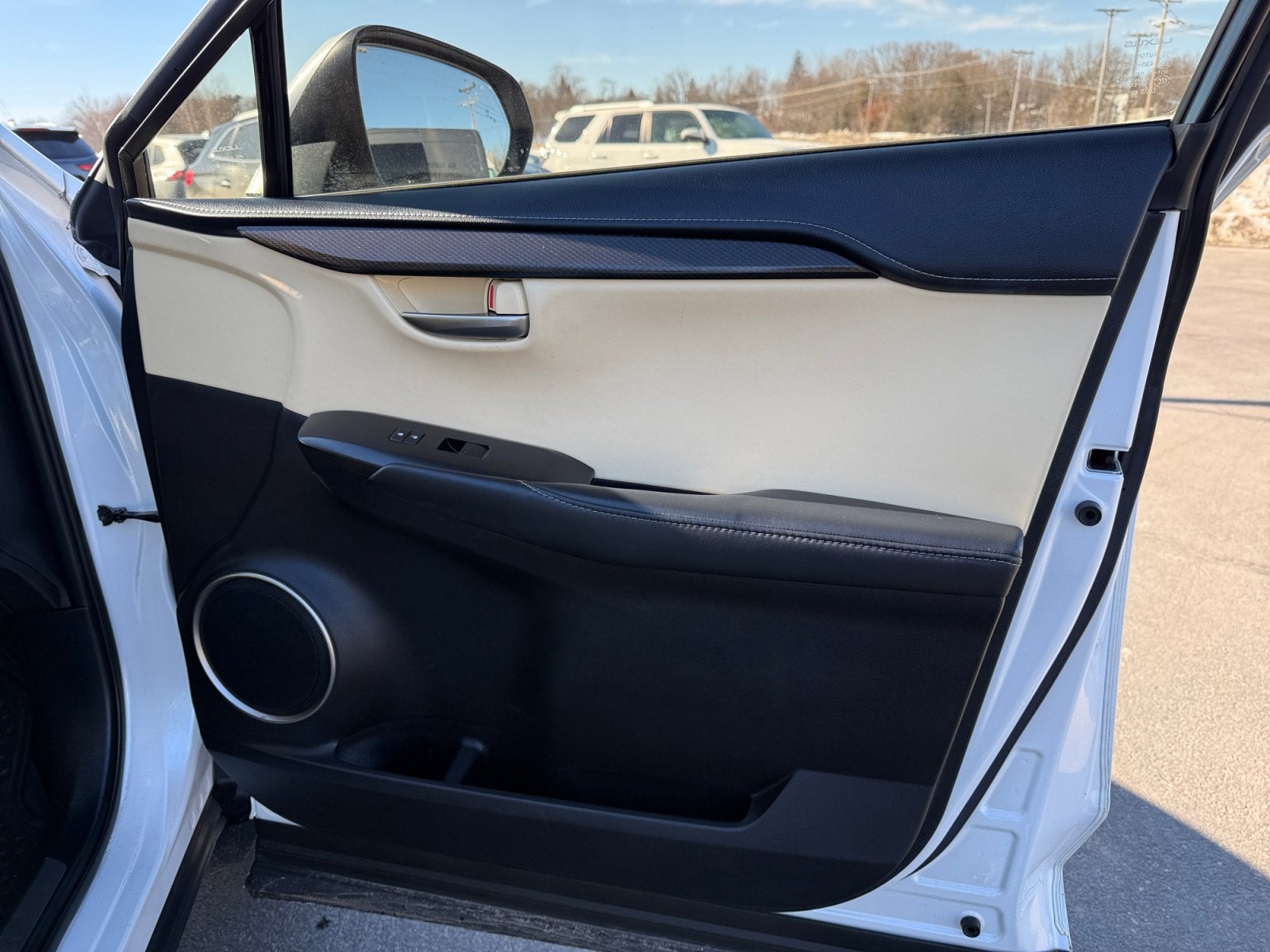 2016 Lexus NX 300h 300h