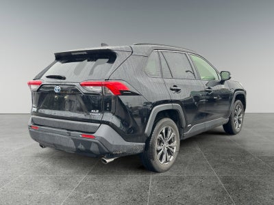 2023 Toyota RAV4 Hybrid XLE Premium